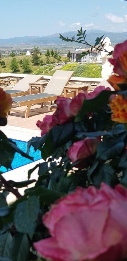 Vinifera Ephesus Hotel Selçuk Zewnętrze zdjęcie